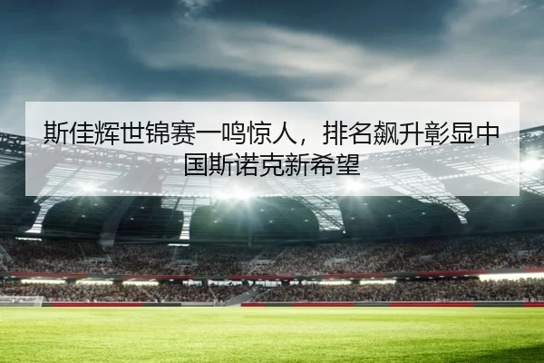 si-jia-hui-shi-jin-sai-yi-ming-jing-ren-pai-ming-biao-sheng-zhang-xian-zhong-guo-si-nuo-ke-xin-xi-wang-3-293.jpg