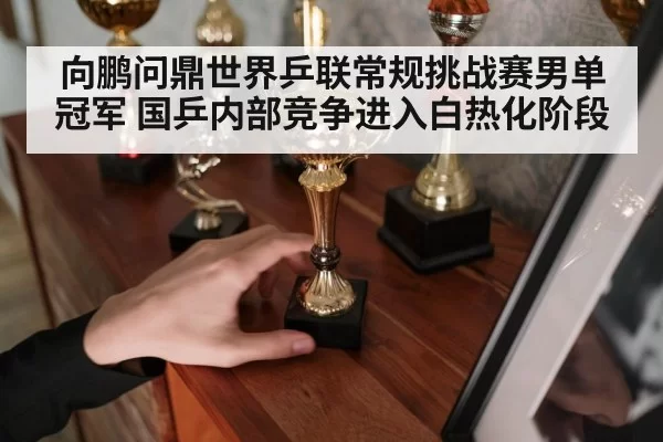 向鹏问鼎世界乒联常规挑战赛男单冠军 国乒内部竞争进入白热化阶段
